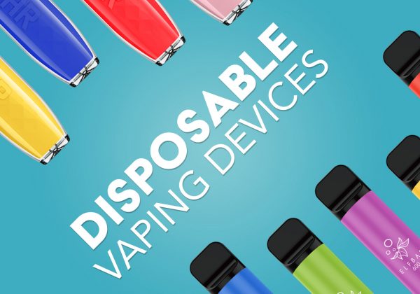 Dispossable3